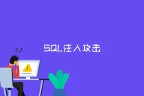 SQL注入漏洞